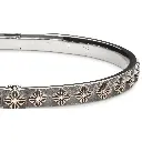 Bangle2.webp