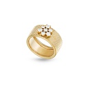 Pleiades Diamond Large Ring #2