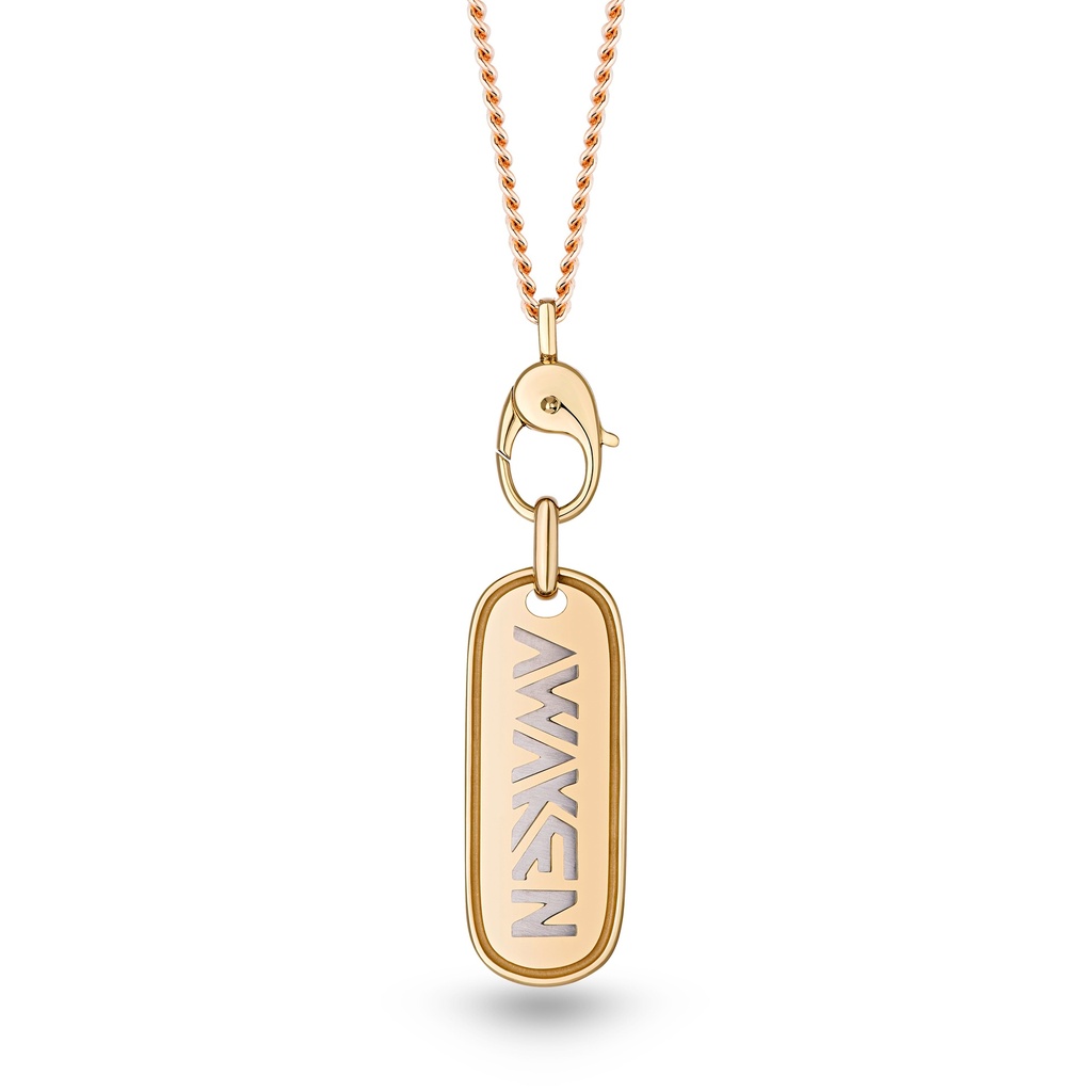 Awaken Diamond Arrow Necklace #2