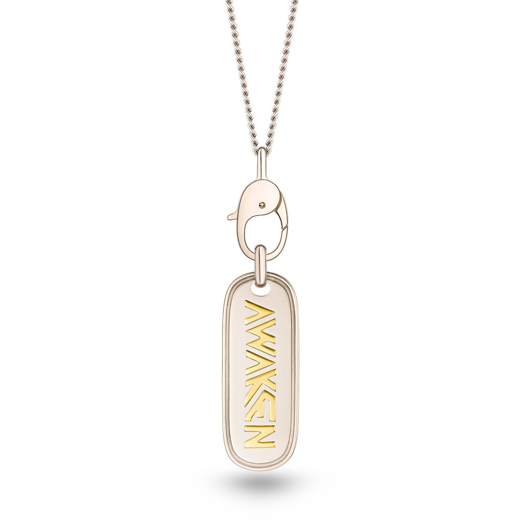 Awaken Diamond Arrow Necklace #2