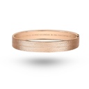 The Arrow Bangle #2
