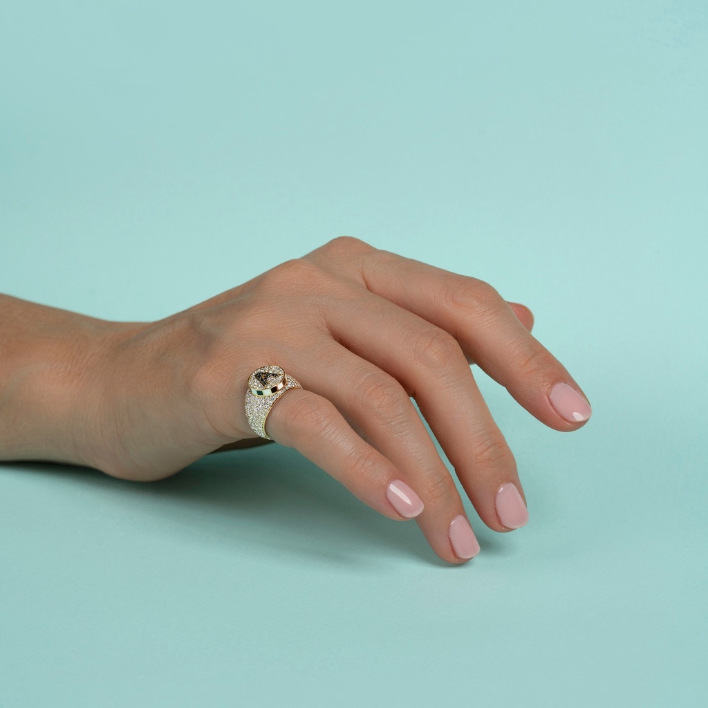 Aisha Baker Signet Dreams Diamond Yellow Gold Pinky Ring SD003_1.jpg