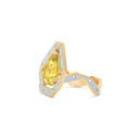 Aisha Baker The Cadeau Ring PR005_2.jpg