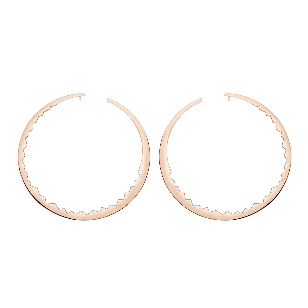 Rose Gold Capture Light Earrings