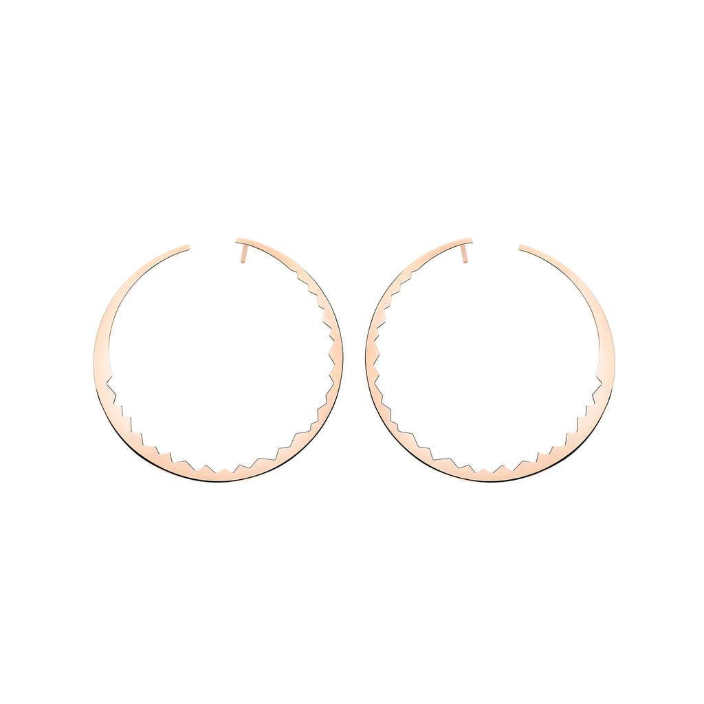 Rose Gold Capture Light Earrings