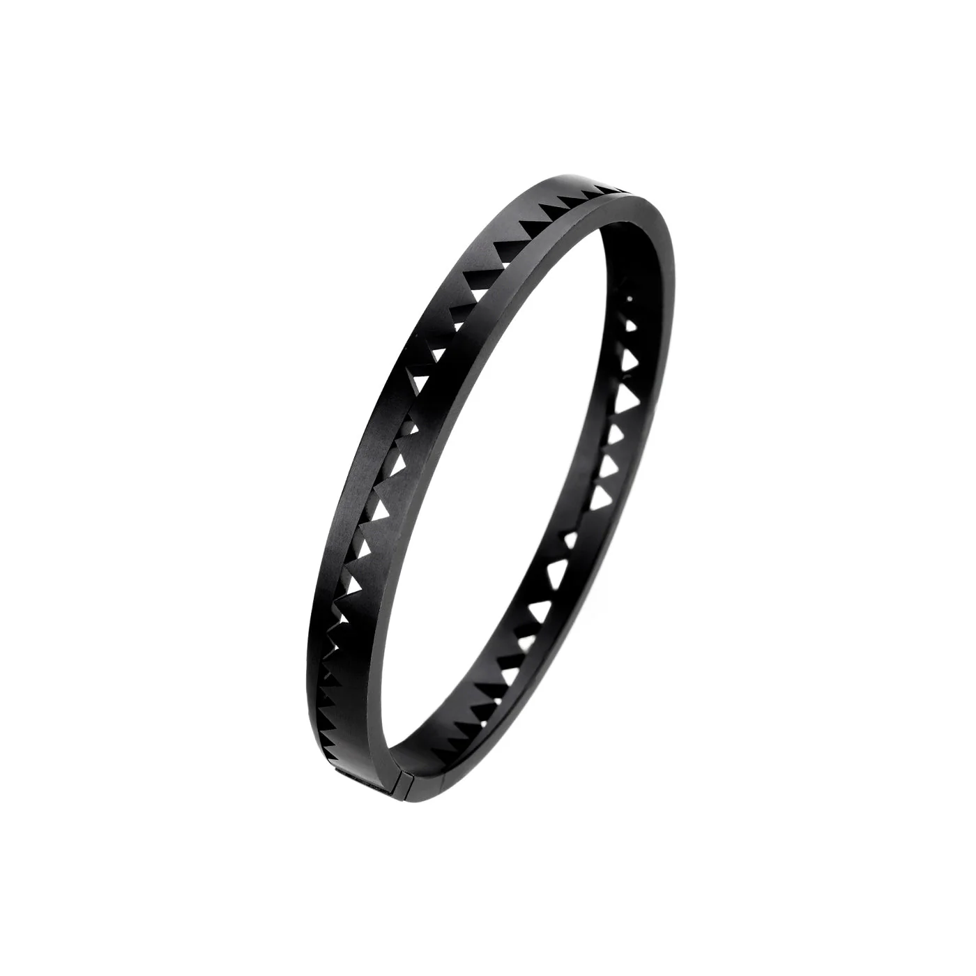 Titanium Capture Me Bangle Bracelet