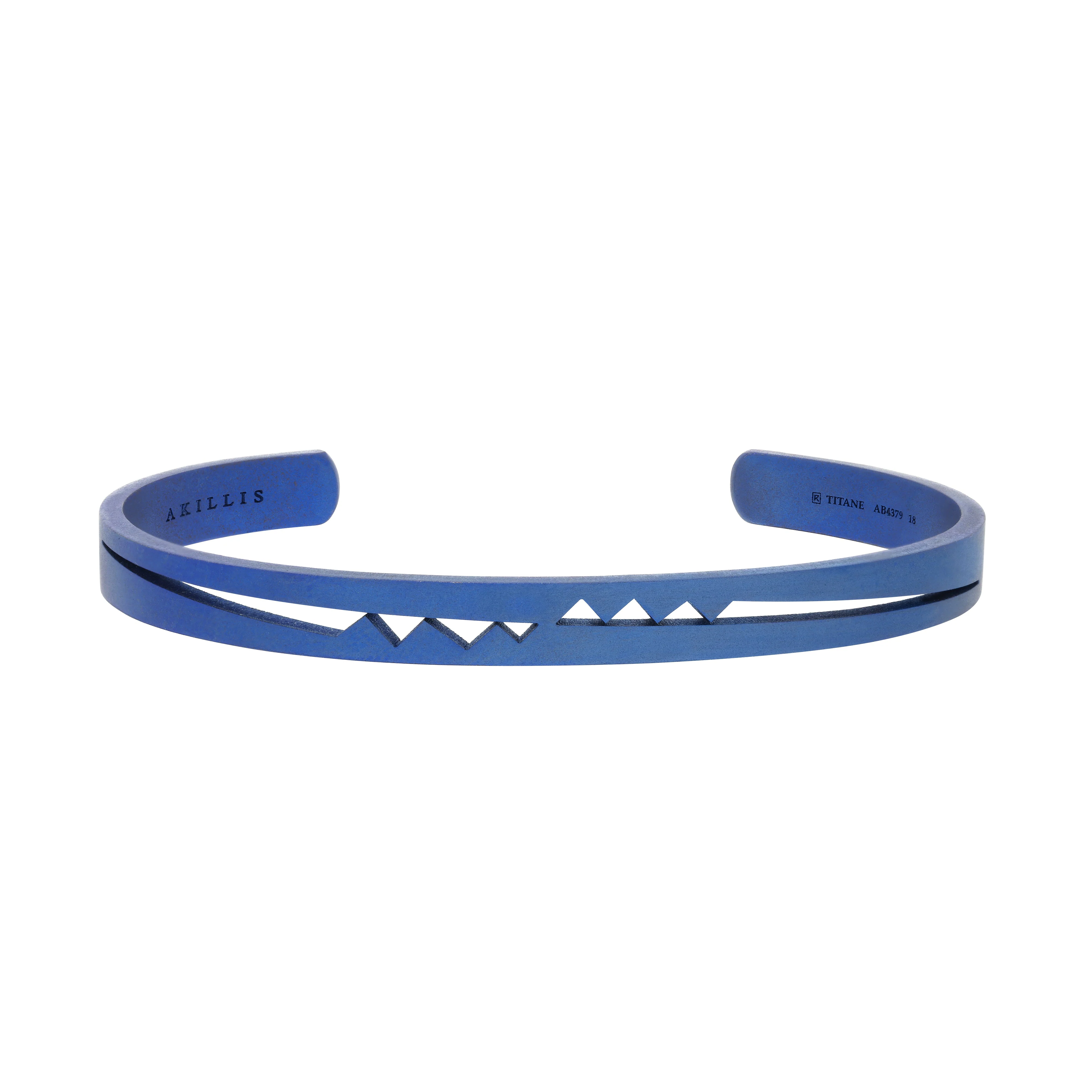 Titanium Capture Me Open Bangle Bracelet