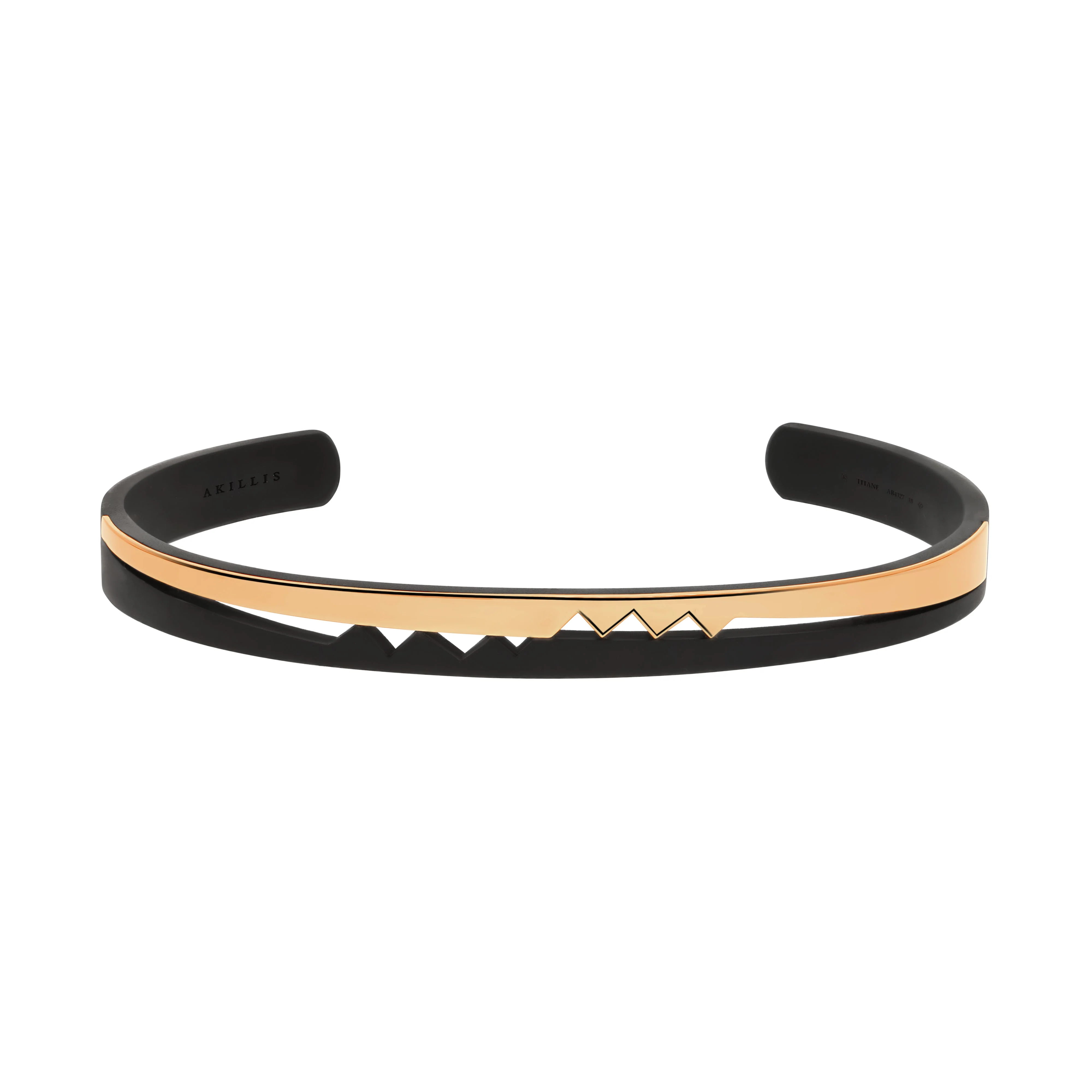 Titanium Capture Me Open Bangle Bracelet
