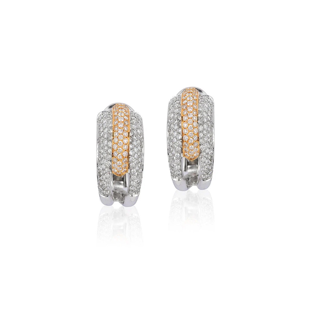 Matilda Two-Tone Earrings