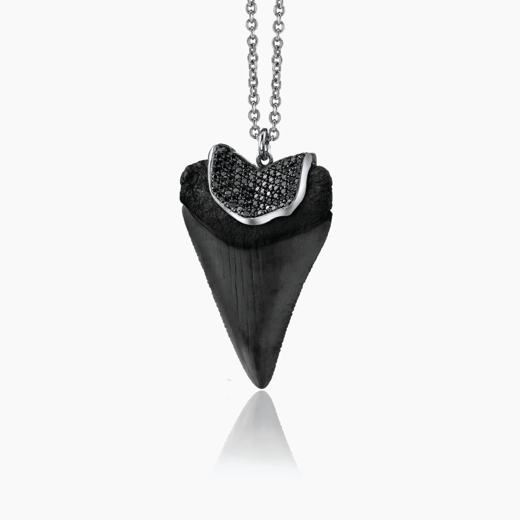 The Black Shark Tooth Pendant