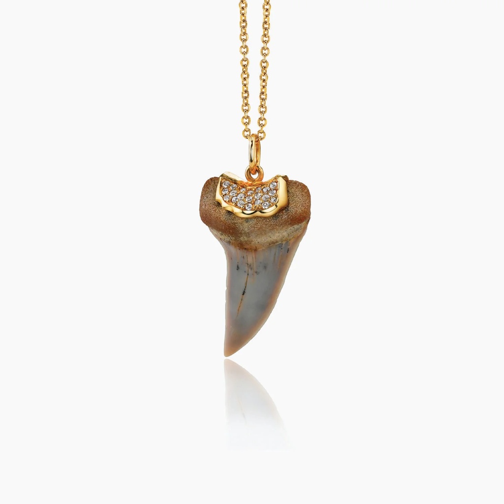 The Shark Tooth Pendant