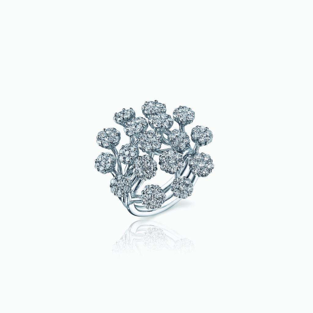 The Cluster Ring