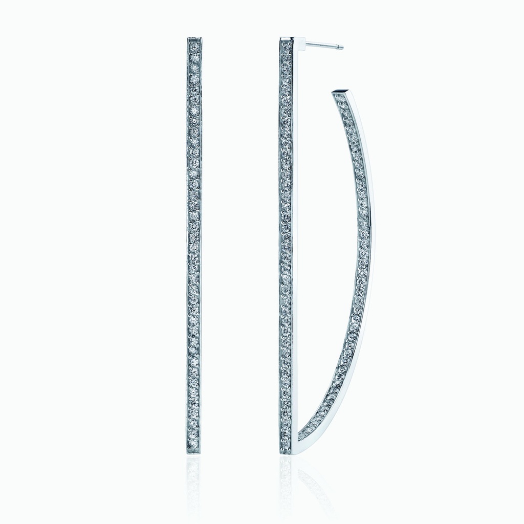 The D Hoop Earrings
