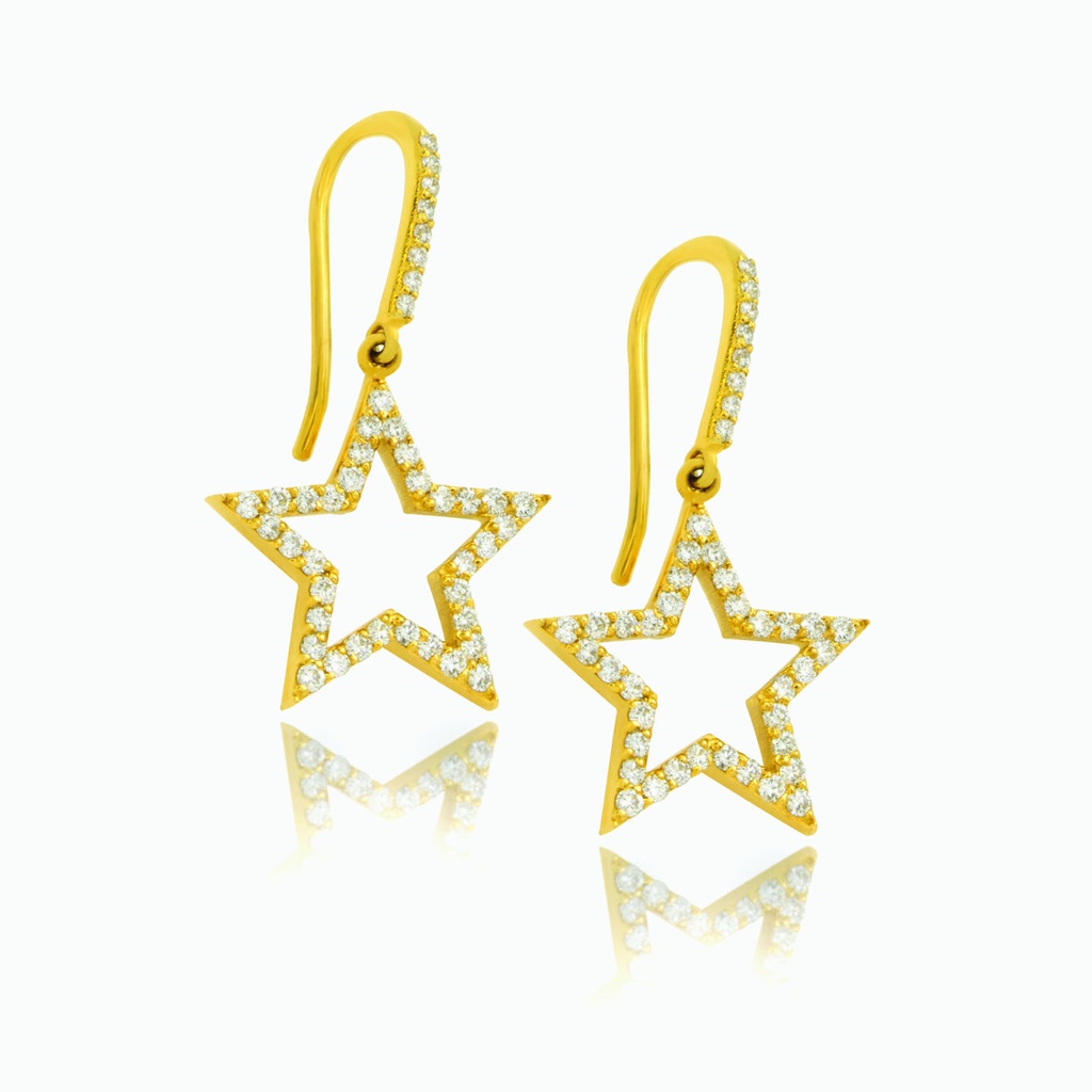 The Star Drop Earrings