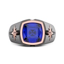 Zancan Titanium, 18Kt Gold & Sapphire Ring