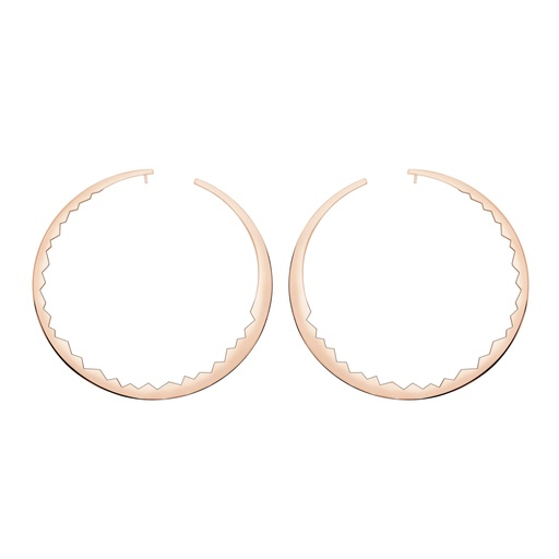 [ECA0031] Rose Gold Capture Light Earrings