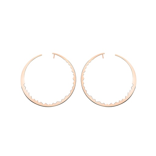 Rose Gold Capture Light Earrings