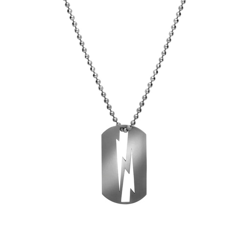 [PLT0004-NS] Titanium Lovetag Necklace