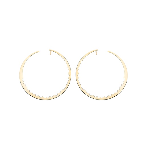 [ECA0011-NS] Yellow Gold Capture Light Earrings