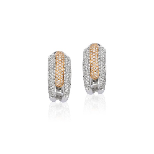 [E5295] Matilda Two-Tone Earrings