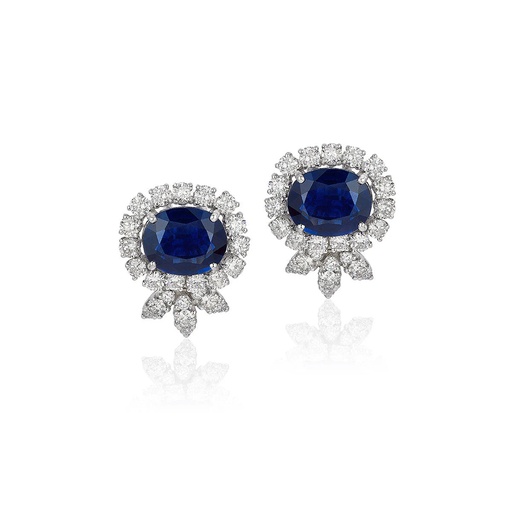 [E5875] Raya Flora Earrings