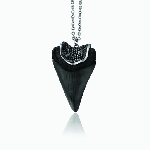 [PWB4X#2667] The Black Shark Tooth Pendant