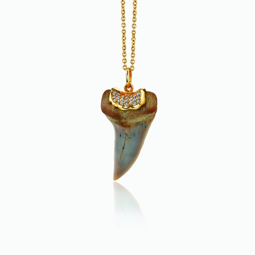 [PYW4X#2724] The Shark Tooth Pendant