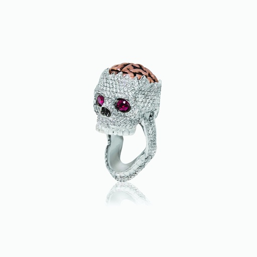 [RWW77X#3366] The Broken Skull Ring