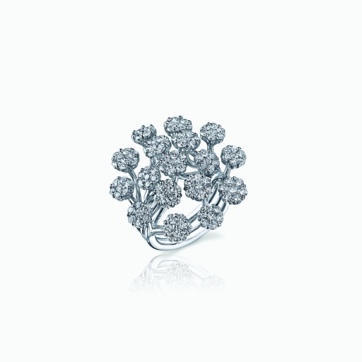 [RWW24X#3385] The Cluster Ring
