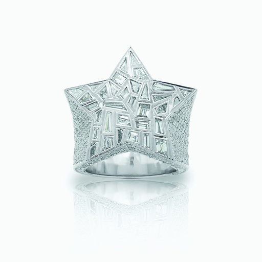 [RWW257X#3400] The Mosaic Star Ring