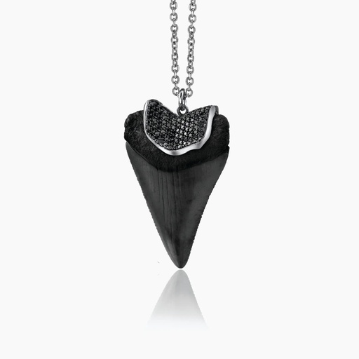 [PWB4X] The Black Shark Tooth Pendant