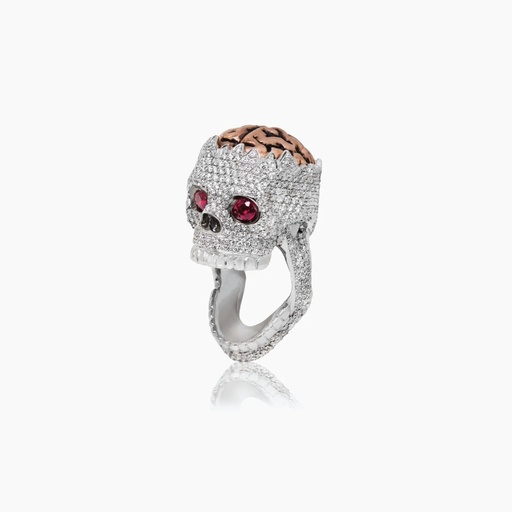 [RWW77X] The Broken Skull Ring