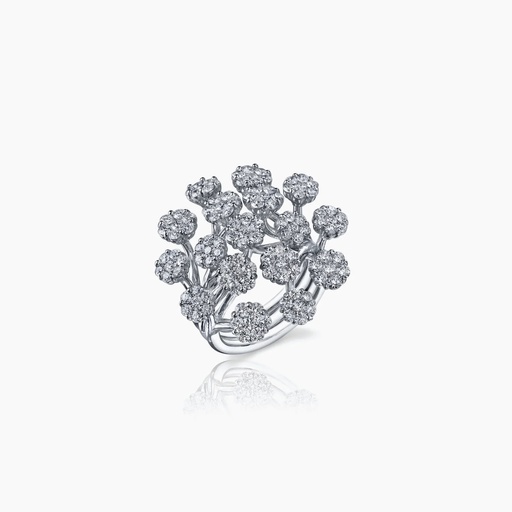[RWW24X] The Cluster Ring