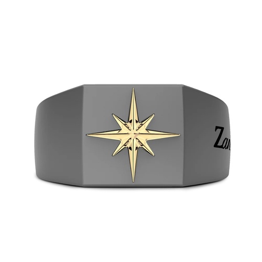 [ETA201] Zancan Ring In Titanium And 18Kt Gold