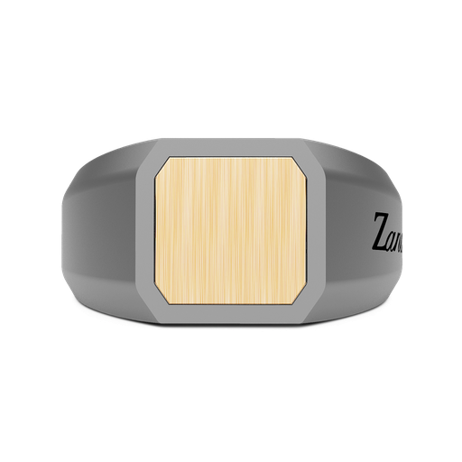[ETA200#9929] Zancan Ring In Titanium And 18Kt Gold
