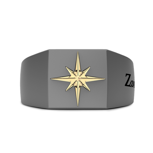 [ETA201#9931] Zancan Ring In Titanium And 18Kt Gold