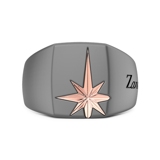 [ETA214#9932] Zancan Ring In Titanium And 18Kt Gold